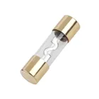 Autopoistka  AGU 40A (5ks)  10x38mm (1)