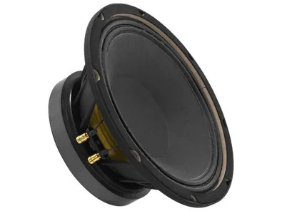 PA basový reprodutor Monacor SP-10/250PRO, subwoofer, 250 W, 8Ohm