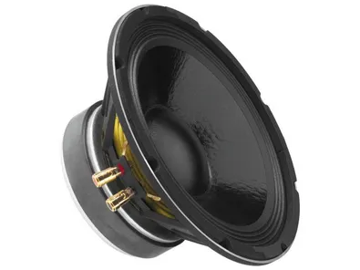 PA stredobasový reproduktor Monacor SP-10A/302PA, 300 W, 8 Ohmov