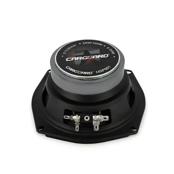 Basový reproduktor Carguard HSP 001, 100 W, 8 Ohm (4)