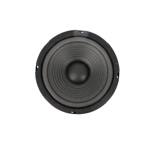 Basový reproduktor Carguard HSP 002, 160 W, 8 Ohm (3)