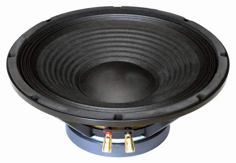 Basový reproduktor Master audio PA12/8 (1)