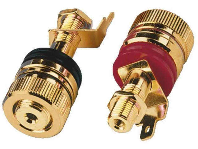 Pár high-end pólových svoriek reproduktorov MONACOR BP-520G (1)