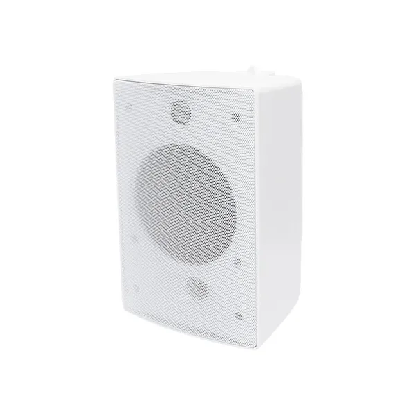 Reproduktor na stenu, vonkajší, 100W, 8 Ohm (1)