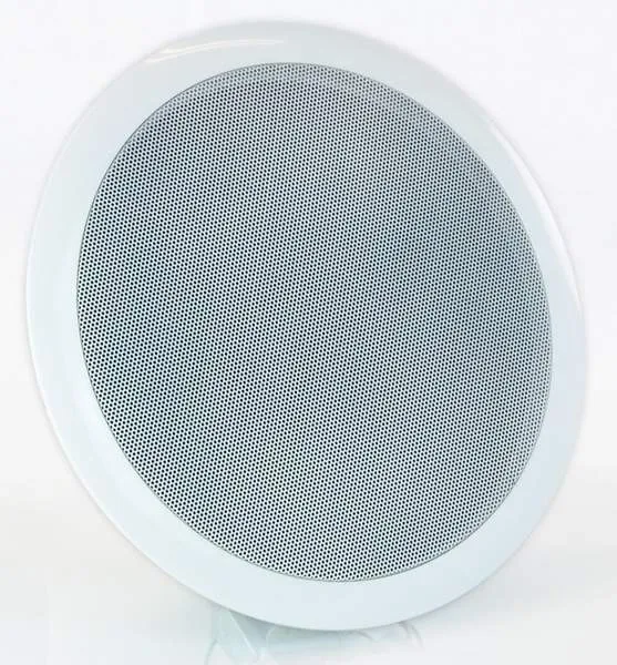 Reproduktory Master Audio CS200H (1)
