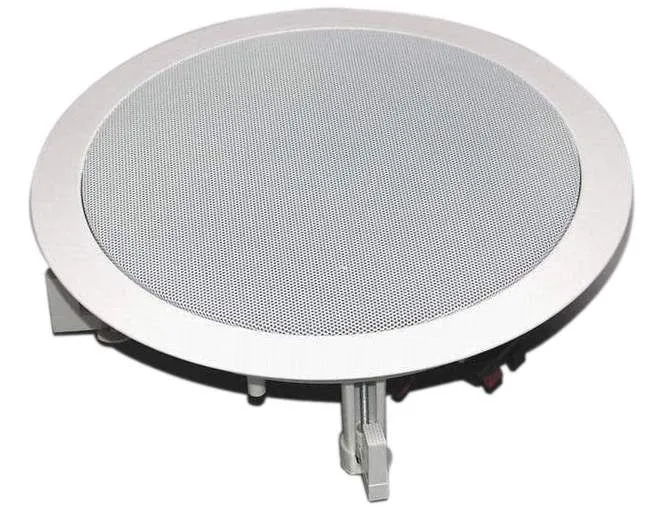 Reproduktory Audio Research WS650D (1)