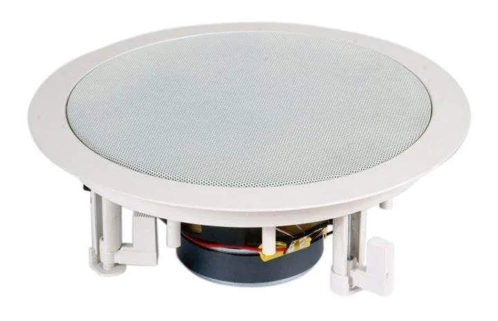 Reproduktory Audio Research WS860D (1)