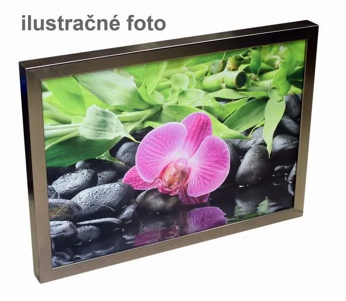 Širokopásmový reproduktor BX65S, 30 W, 8 Ohm (4)
